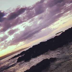 Meet your Posher, Annie